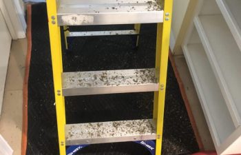 Aluminum ladder in the room