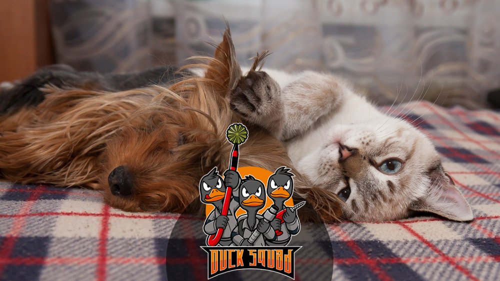 Dryer Vent Cleaning service In Orlando