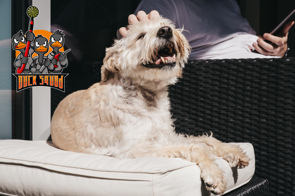 Dryer Vent Cleaning service In Orlando